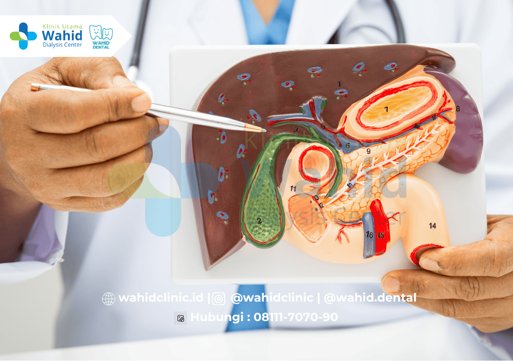 Hepatitis B, Penularan, Gejala, dan Pentingnya Vaksinasi